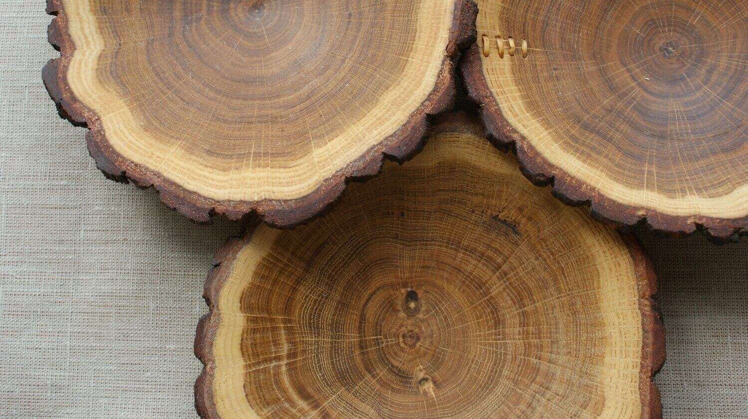 Элитные породы дерева
